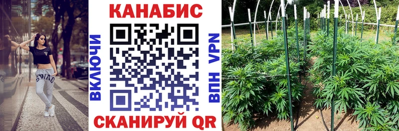 мега онион  Каргополь  Каннабис SATIVA & INDICA 